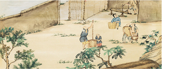 1-ls_27.jpg 1-ls_27.jpg